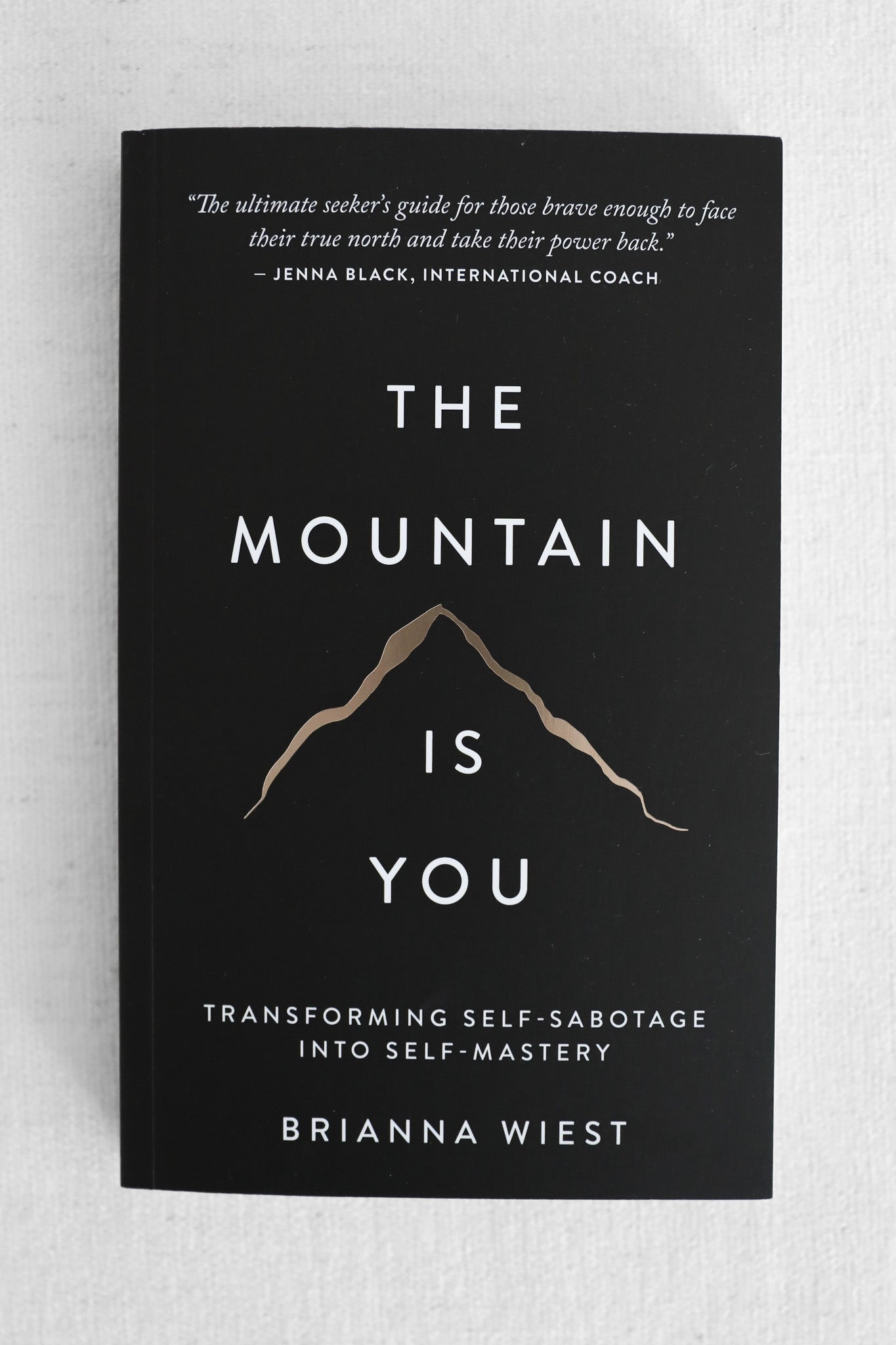 THE MOUNTAIN IS YOU