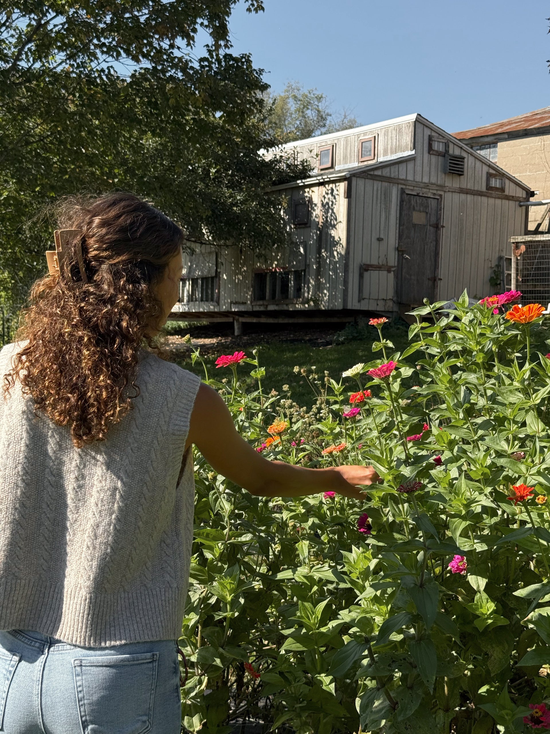 CABLE KNIT TIE FRONT VEST