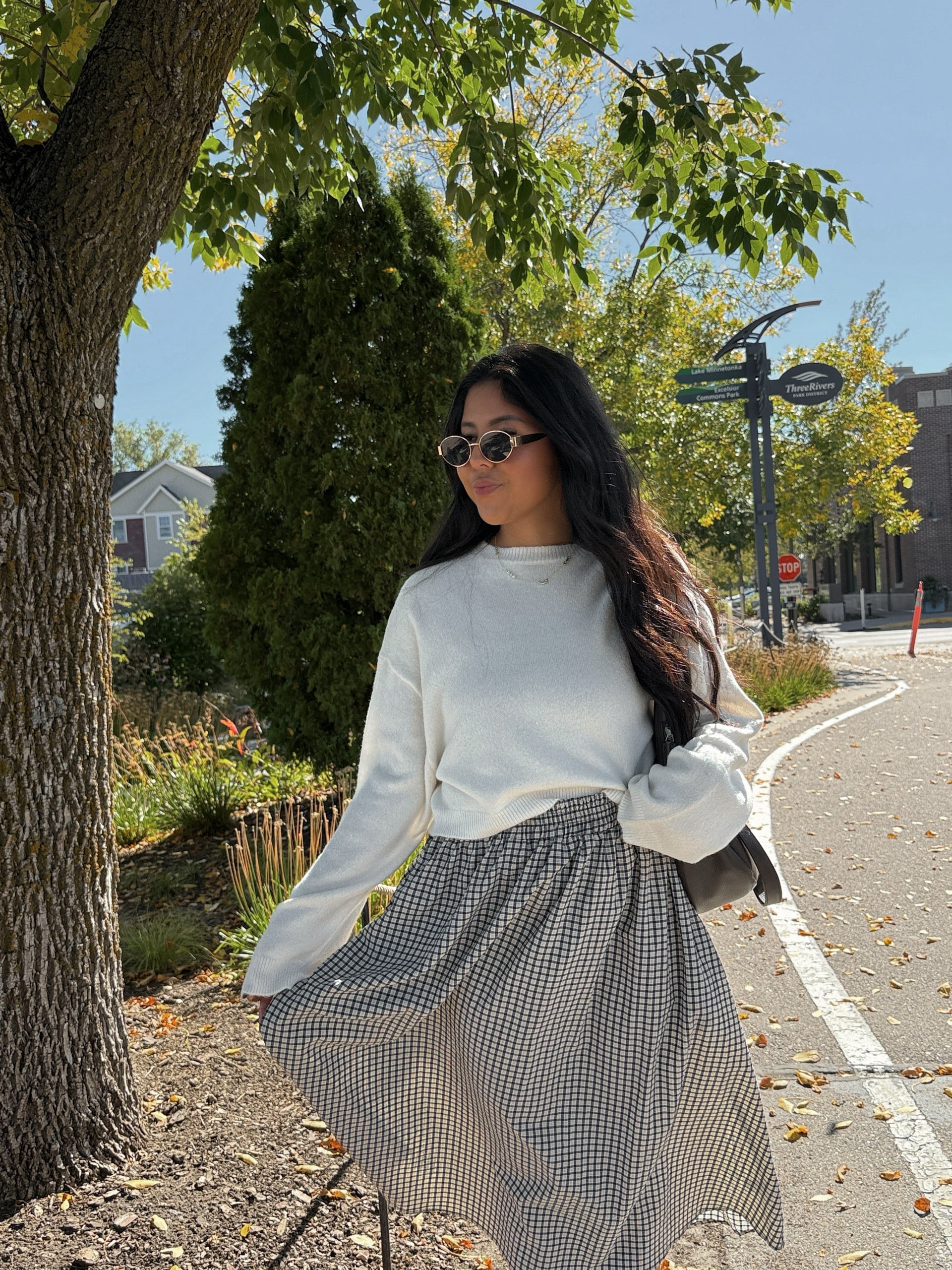 STARRY NIGHT PLAID SKIRT