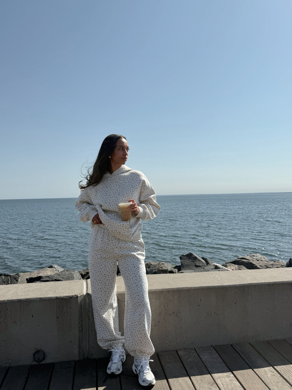 FLEETING MOMENTS HOODIE